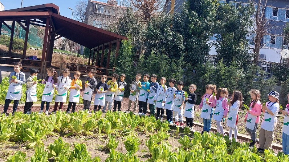 1-D Sınıfı Öğrencilerimiz Yedikule Bahçe Turp Dikimi Eğitimine Katıldı